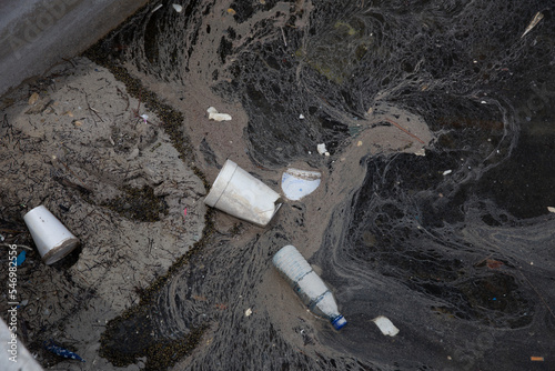 Styrofoam Cups and Bottle Water Pollution