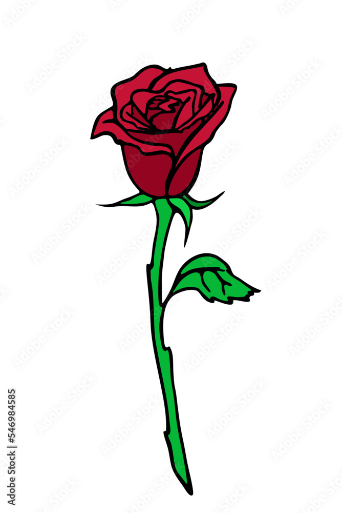 rose branch drawing with red flower and leaves, isolated element, design rose branch drawing with red flower and leaves, isolated element, design