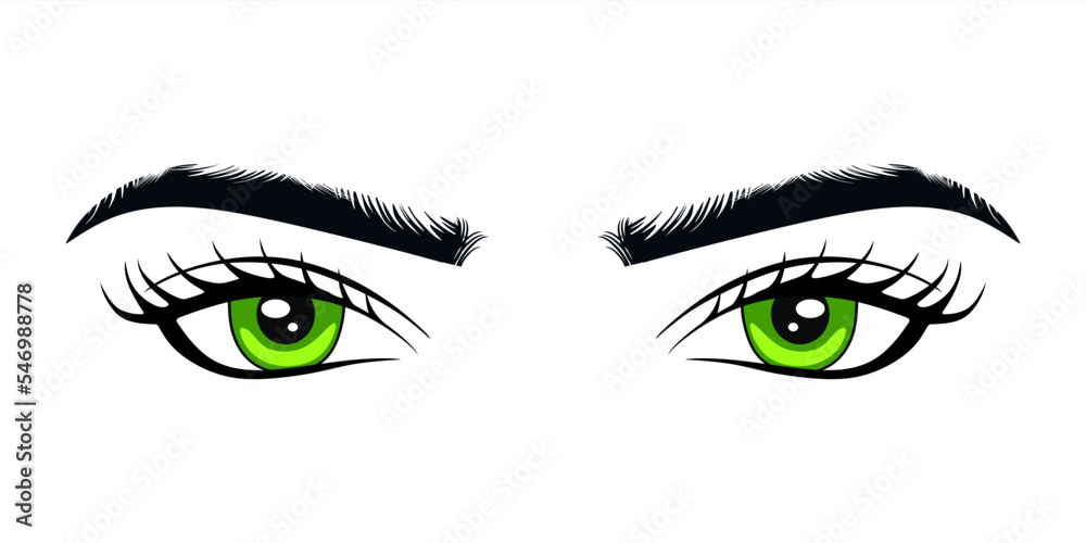 Green female eyes with eyebrows and lush eyelashes. Business card idea, vector typography. Perfect green woman's eyes on white background. vector illustration
