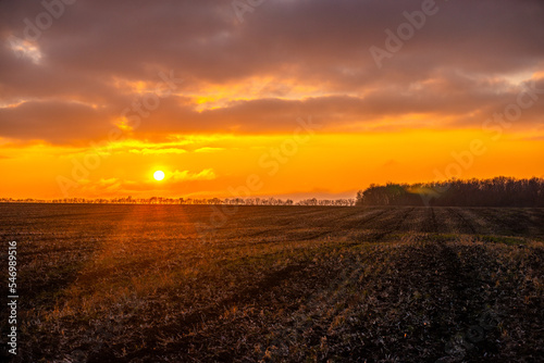 sunrise over the field © Александр Рябинин