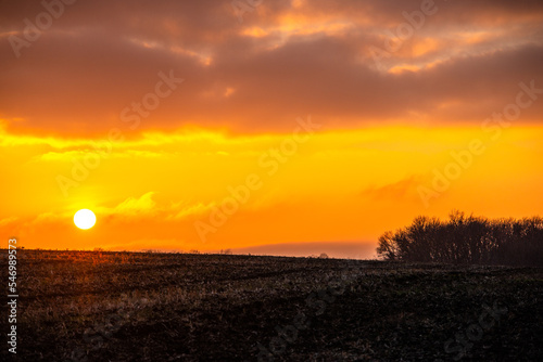 sunset over the field © Александр Рябинин