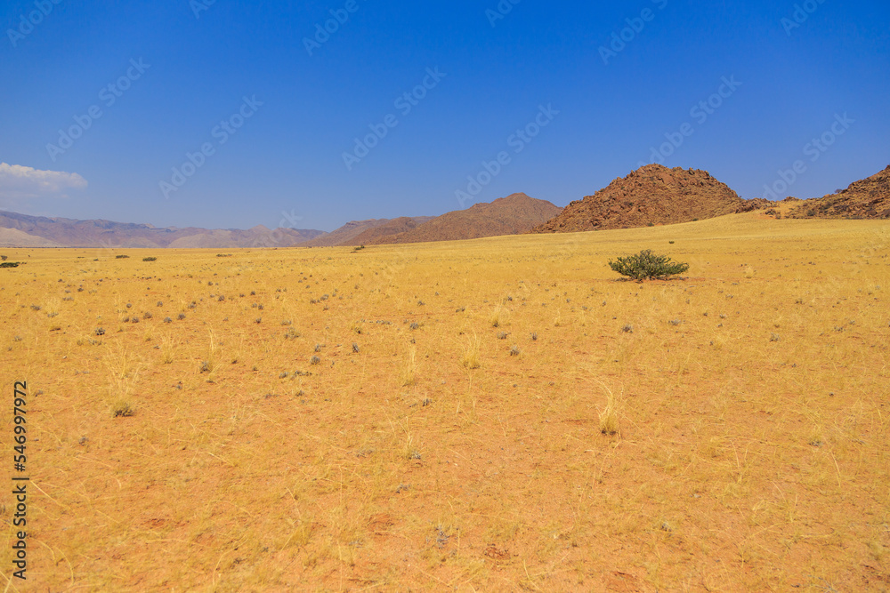Fototapeta premium Namibian landscape along the gravel road. Sossusvlei, Namibia.