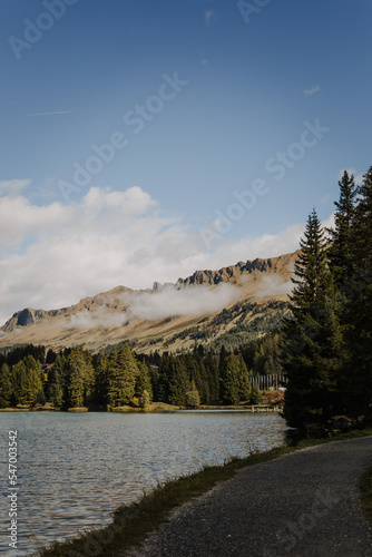 Bergsee in der Schweiz mit Bäumen