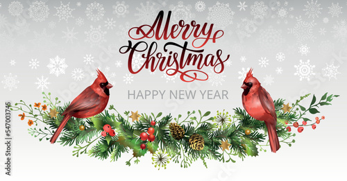 Christmas card with pine garland, red cardinal birds and lettering phrase Merry Christmas. Spruce branch with cones, mistletoe leaves and berries.