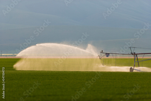 Automated Lateral move irrigation distributes water across a filed of crops on a farm