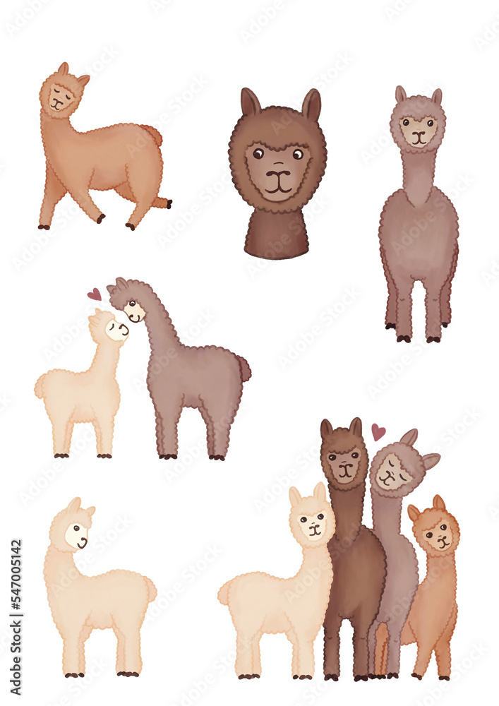 Słodkie alpaki lamy, rodzina alpak, zwierzęta rysowane dla dzieci, zestaw rysunków zwierząt na białym tle - obrazy, fototapety, plakaty 