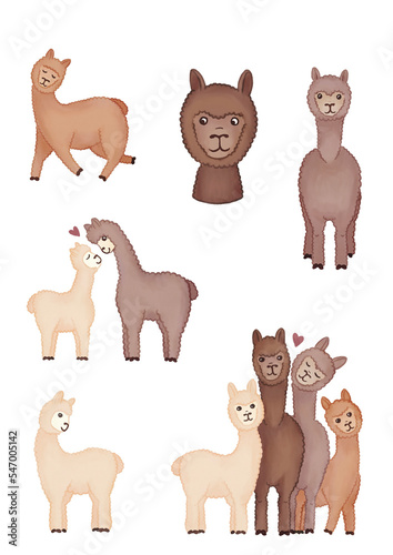 Słodkie alpaki lamy, rodzina alpak, zwierzęta rysowane dla dzieci, zestaw rysunków zwierząt na białym tle