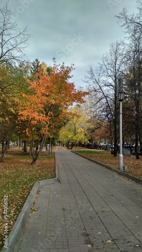 alley in autumn park