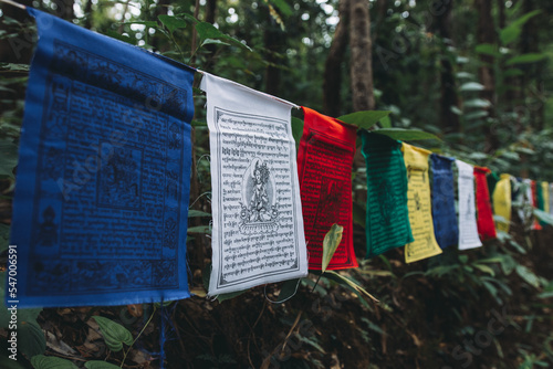 Colorful prayer flags with deep forest in the background. Those typical religious symbols of the buddhism have become tourist attractions. 