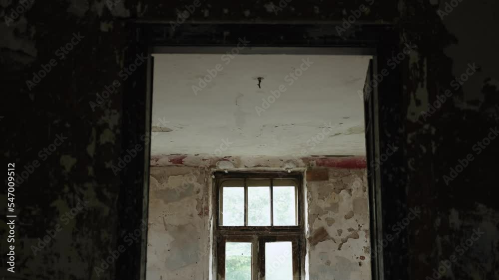 View through doorway to abandoned room with old window. Birds fly.