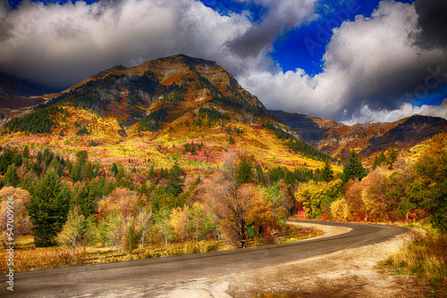 road in autumn