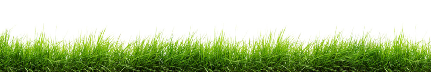 Fotobehang Bibliotheek Fresh green grass  © bht2000