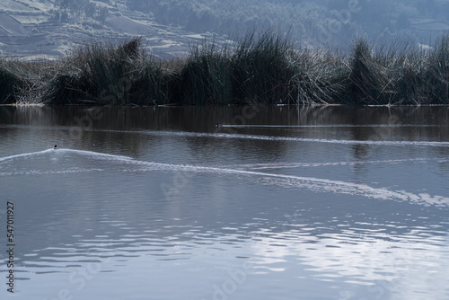 Beautiful lagoon near mountains and a city, Colta Lake photo