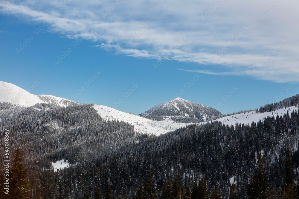 Obraz premium Beautiful mountains peak and trees covered in snow under blue cloudy sky, mount Petros and Lysycha meadow of Marmarosy, Carpathian Mountains, Ukraine