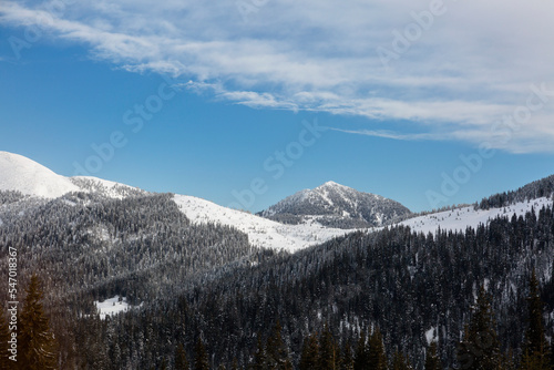 Beautiful mountains peak and trees covered in snow under blue cloudy sky, mount Petros and Lysycha meadow of Marmarosy, Carpathian Mountains, Ukraine