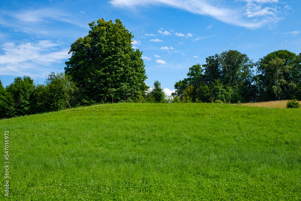 Meadow landscape with a blue sky - Meggen, Switzerland Meadow landscape with a blue sky - Meggen, Switzerland