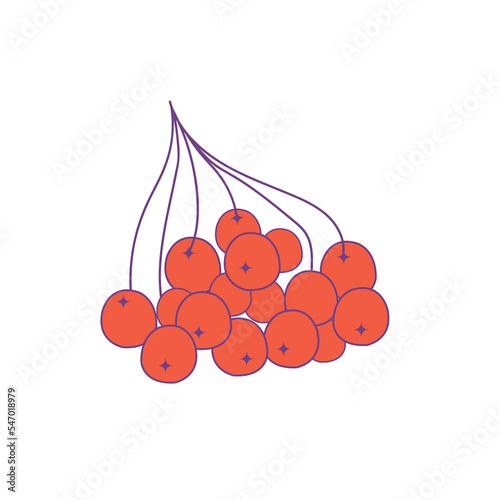 Hand drawn vector flat orange rowanberry illustration on white backround.

