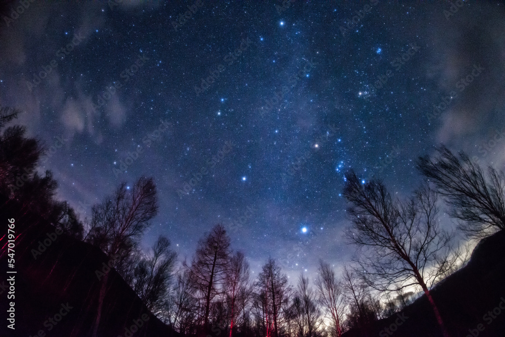 冬の星空と天の川 冬の星空と天の川