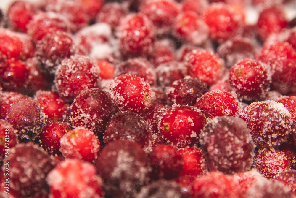 Cranberries with sugar background with nobody Cranberries with sugar background with nobody
