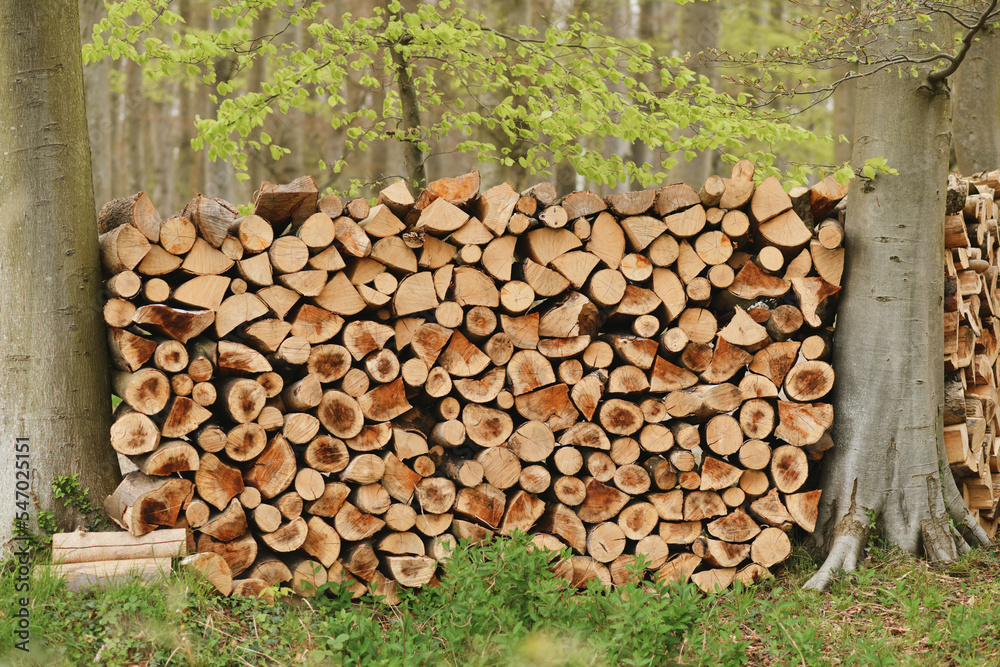 A row of wooden logs for a fireplace