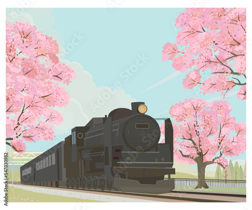 Art & Illustration