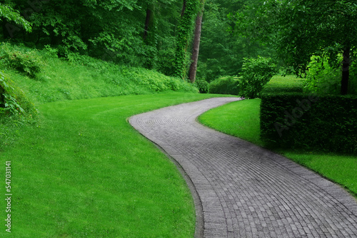Beautiful green park with paved pathway. Landscape design