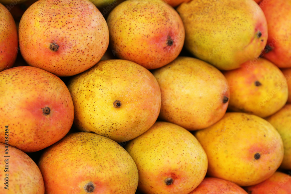 Delicious ripe yellow mangoes as background, top view