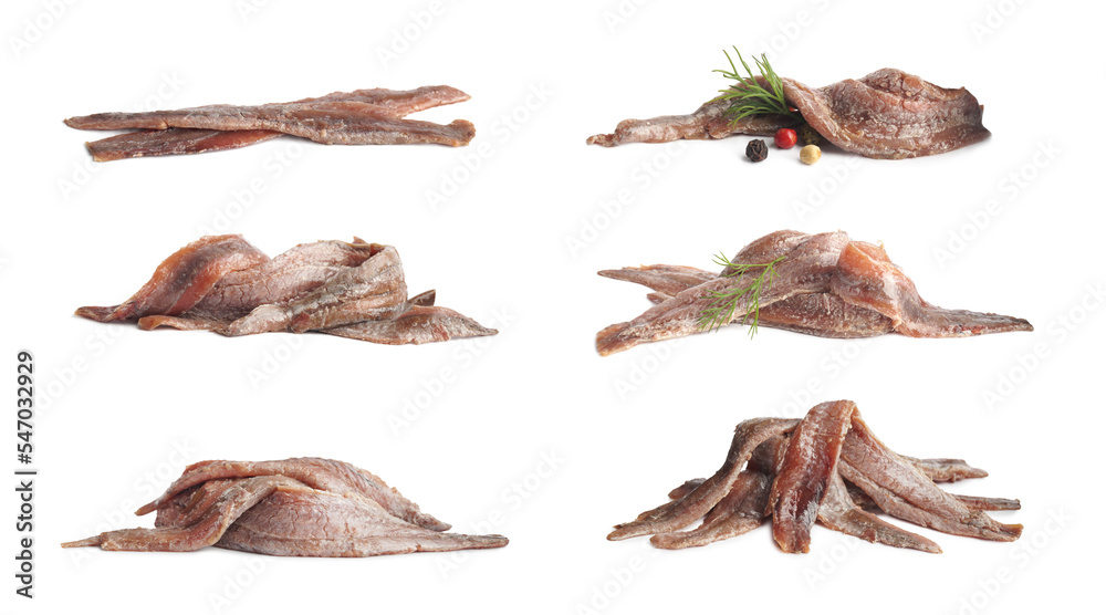 Fototapeta premium Set with delicious anchovy fillets on white background