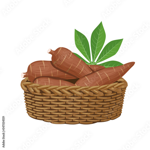 Vector illustration, cassava root or Manihot esculenta in a basket, also known as manioc, isolated on white background, as banner, poster or template for national tapioca day.