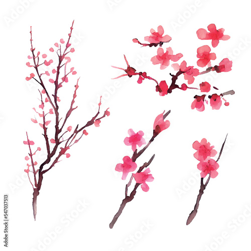 イラスト素材:梅の花の和風水彩イラストセット
