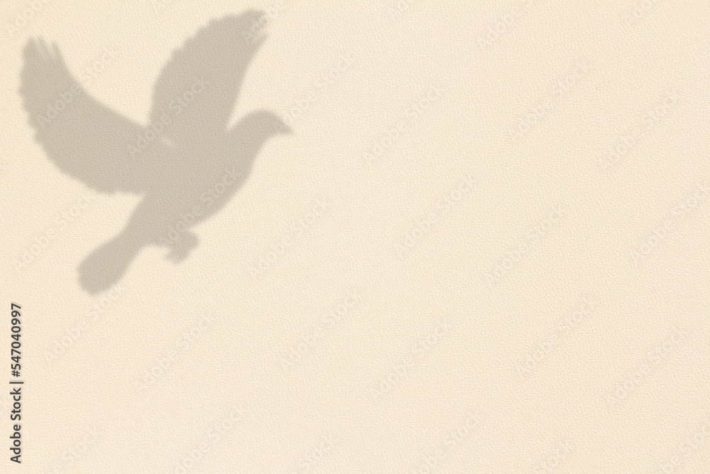 Fototapeta premium flying dove feathers shadow texture in light brown leather background with text copy space