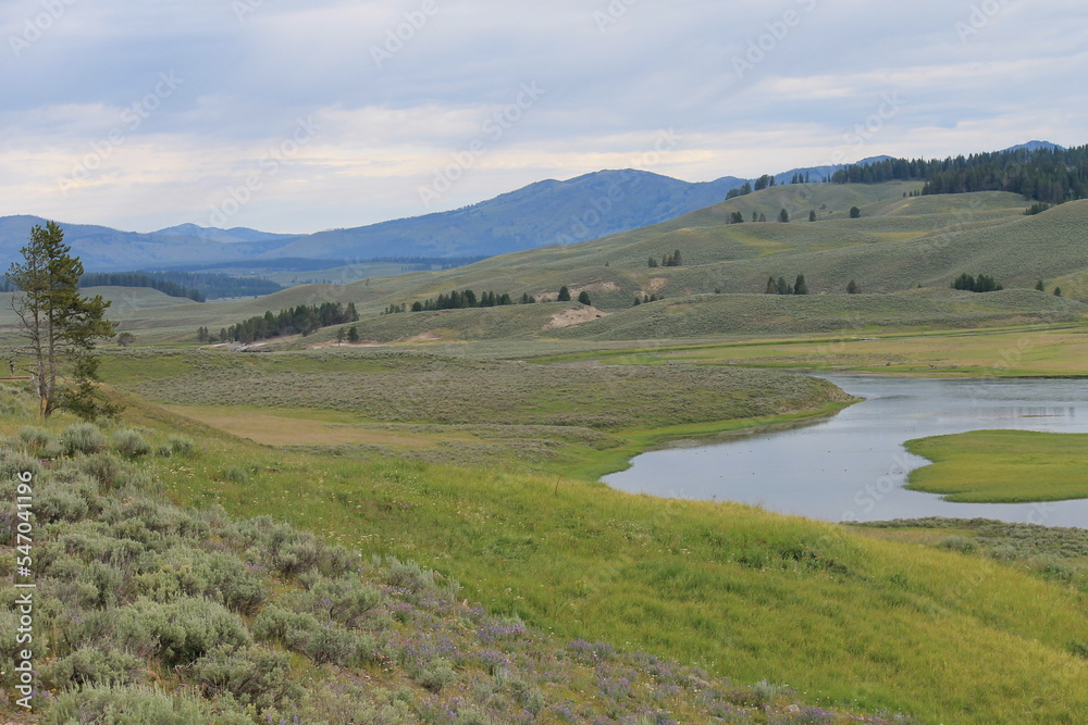 Montana Montana
