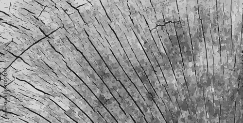 Gray old wood texture. Realistic vector wooden old tile design pattern. Aged dark oak cut. Damaged tree background. Cracked timber flooring plank. Grunge rustic wall