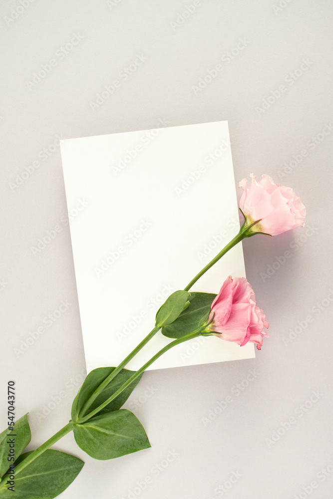 Fototapeta premium 장미와 카드 목업