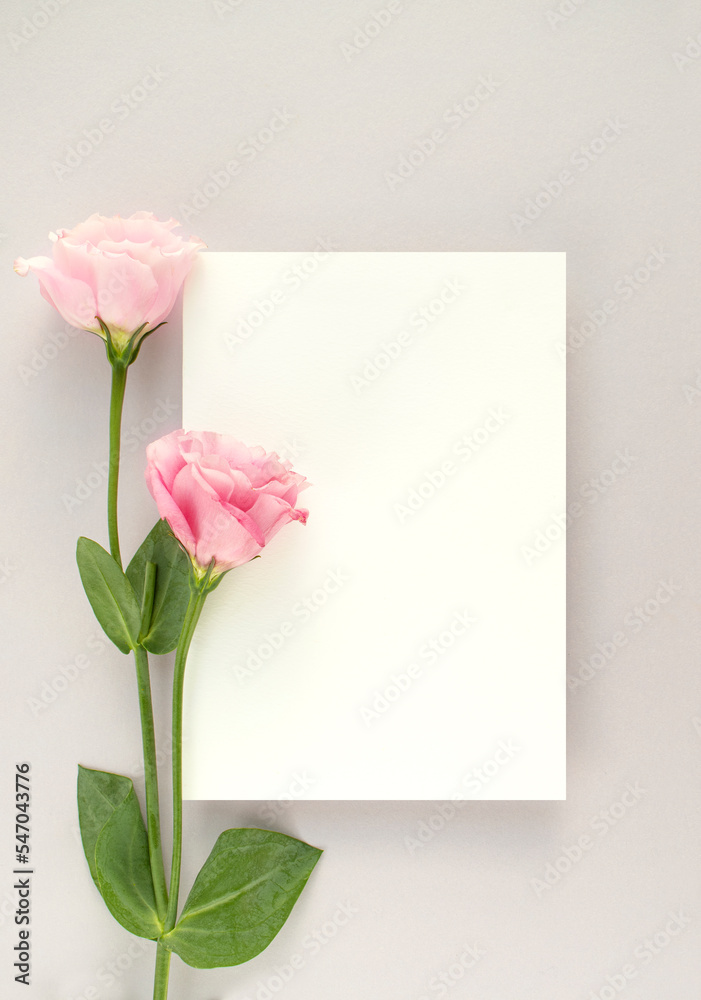 Fototapeta premium 장미와 카드 목업