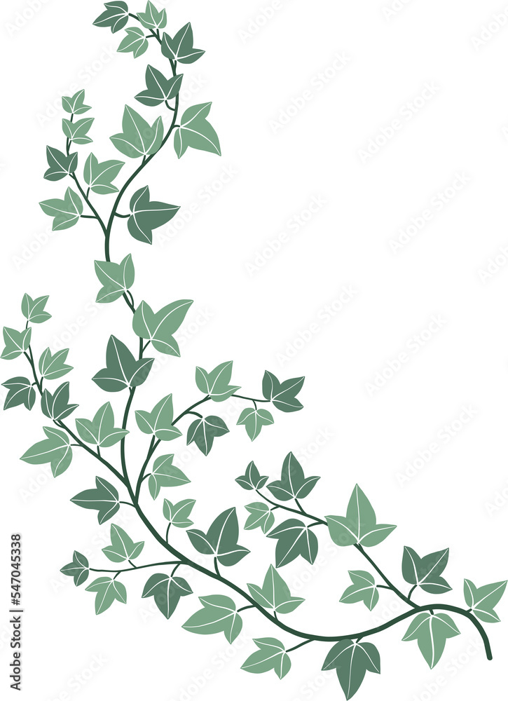 Simplicity ivy freehand drawing	
