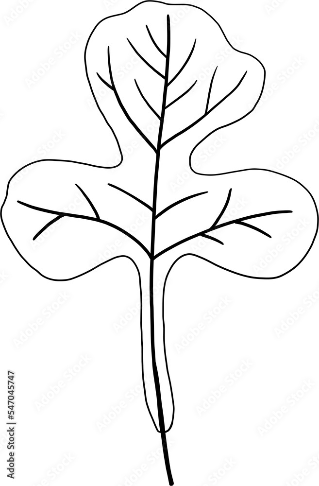 simplicity maple freehand drawing flat design. simplicity maple freehand drawing flat design.