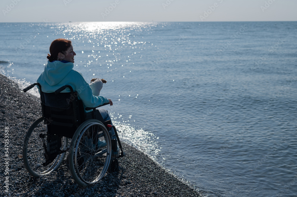 Obraz premium Caucasian woman in a wheelchair with a dog at the sea.