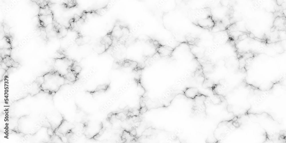 Fototapeta premium Abstract background with Seamless Texture Background, Black and white Marbling surface, with geometric line Illustration design for wallpaper or skin wall tile luxurious material interior or exterior 