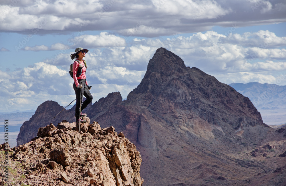 Woman Day Hiker On Desert Peak