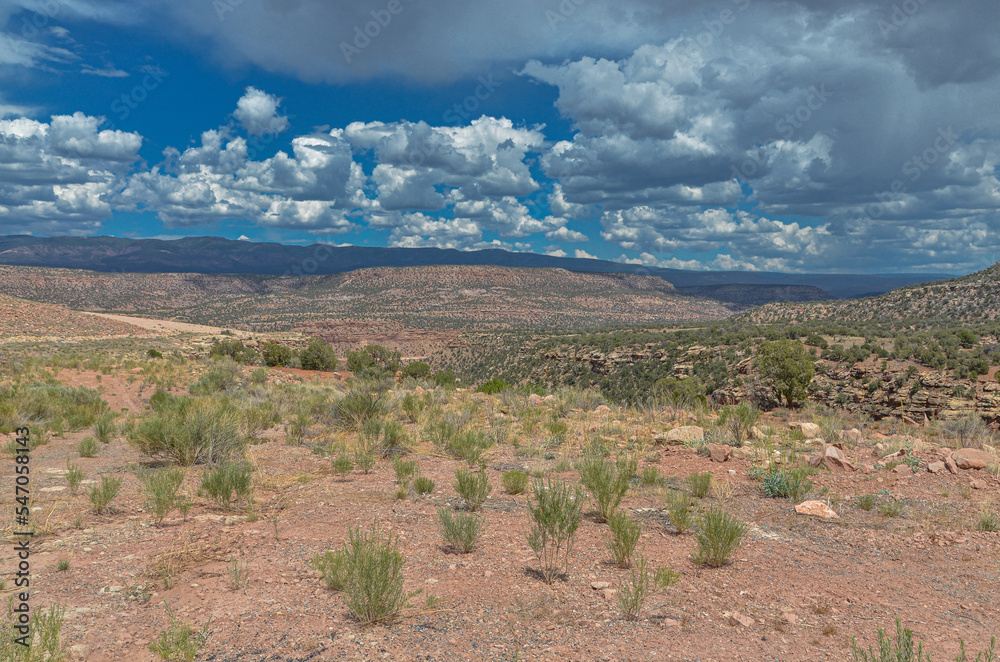 scenic view of San Miguel river valley from the former site of abandoned mining town Uravan (Montrose County, Colorado)