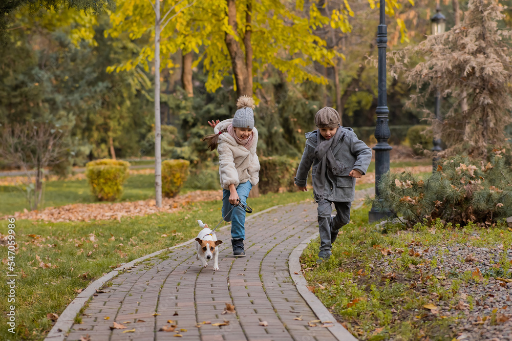 Brother and sister walk the dog in the park in autumn. Boy and girl running with jack russell terrier on a leash. Brother and sister walk the dog in the park in autumn. Boy and girl running with jack russell terrier on a leash.