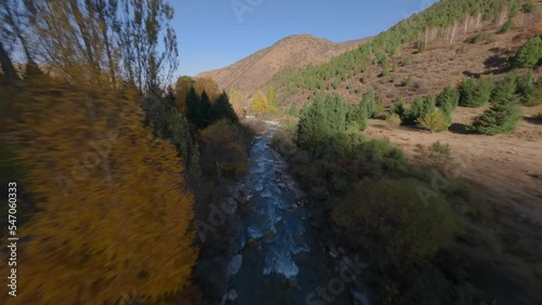 Fly between autumn trees above sunny mountain river water splashing gorge creek geology formation canyon spring aerial view. FPV sport drone forward shot wood bushes plant destination landscape 4k photo