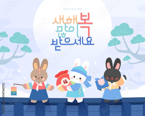 2023 Gyemyo Year New Year's Rabbit Character Illustration
