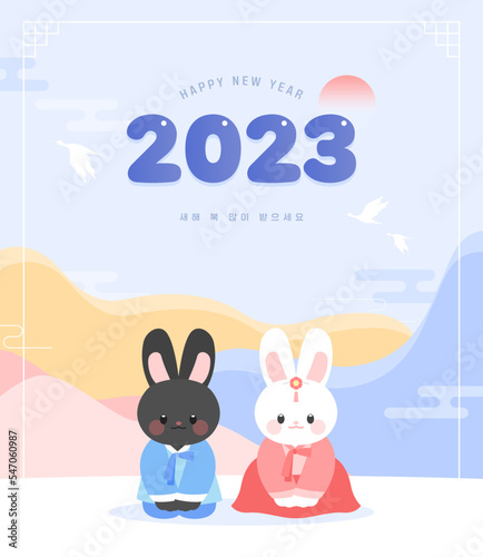 Fotografia 2023 Gyemyo Year New Year's Rabbit Character Illustration