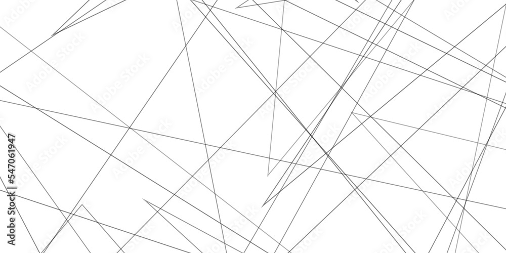 Abstract lines in black and white tone of many squares and rectangle shapes on white background. Metal grid isolated on the white background. nervures de Feuillet  mores, fond rectangle and geometric. - obrazy, fototapety, plakaty 