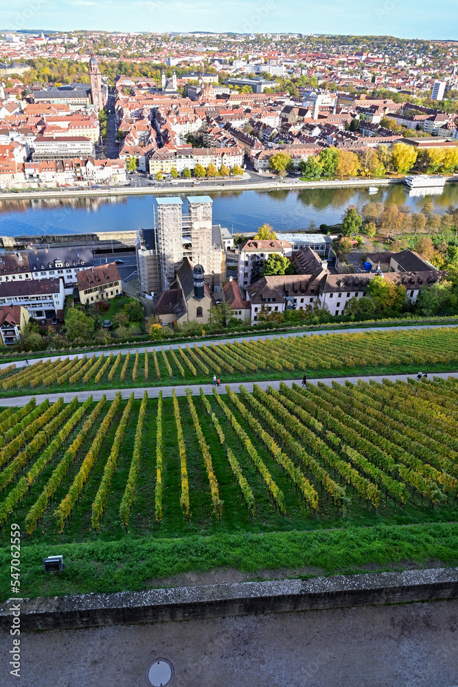 Panorama über Würzburg mit Weinberge von der Festung Marienberg, Unterfranken, Bayern, Deutschland