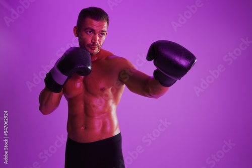 Man bodybuilder boxer muscle workout with naked torso. Advertising, sports, active lifestyle, colored purple light, competition, challenge concept.  © SHOTPRIME STUDIO