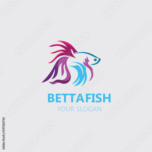 Betta fish modern logo style design vector image illustration