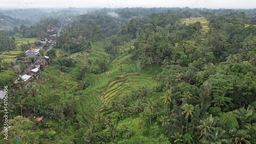 Bali, Indonesia - November 10, 2022: The Tegalalang Terrace Rice Fields